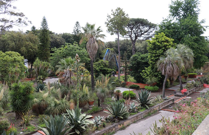 Orto Botanico di Napoli, Naples, Italy, Italy